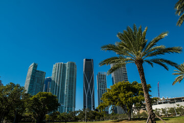 Fototapeta na wymiar Downtown of the city of Miami, USA. Miami Skyline. modern building in miami city florida usa america. 