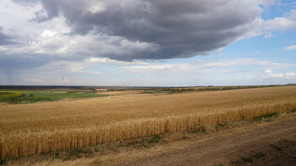 Obraz premium Landscape in the countryside grey clouds