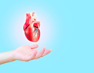 Heart attack, human heart isolated on light blue background. cardiology and medical care for heart...
