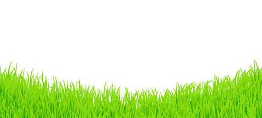 Illustration of a lawn with a transparent background.