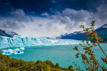 Patagonia Ushuaia Glaciar Argentina - obrazy, fototapety, plakaty