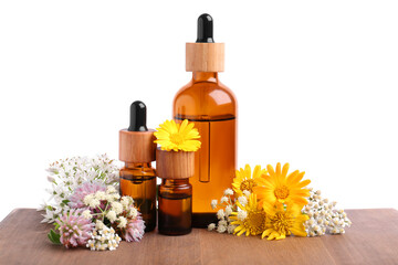 Bottles of essential oils and different wildflowers on wooden table against white background