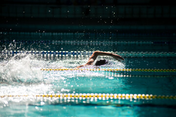 Swimmer swims freestyle in the pool in beautiful sunlight