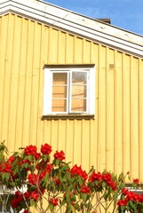Fototapeta na wymiar traditional swedish wooden house with flowers