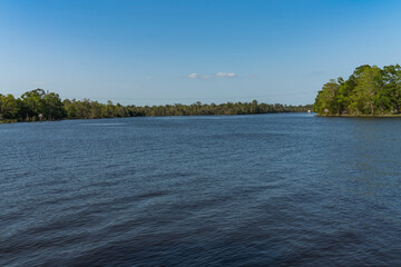 Wide river running through a forest in Milton, Florida. Large waterway of a river in between the green trees of a forests against the blue skyline background.