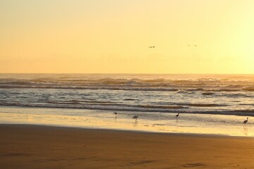 Nascer do sol na praia
