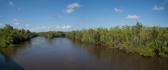 River at Milton, Florida with trees on the shore against the blue sky. Panorama of river waterways in the middle of green trees on the side.