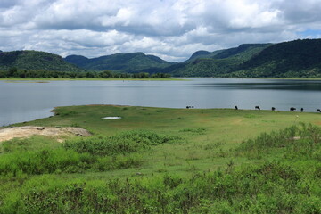 lake in the mountains
