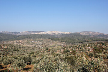 Mount Tabor magnificent view from top