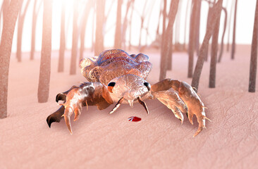 head louse on a human head 3d render