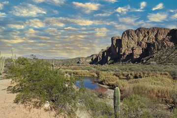 Salt River scenic landscapes delight the eye.  The banks of the Salt River in Tonto National Forest offer dramatic and breathtaking views. - 569753895