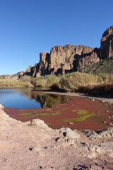 Salt River scenic landscapes delight the eye.  The banks of the Salt River in Tonto National Forest offer dramatic and breathtaking views. - 569754638