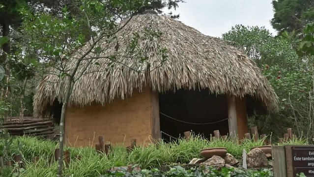 Indigenous Colombian straw hut in the middle of the jungle
