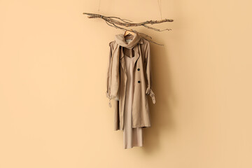 Tree branches with stylish clothes hanging on beige wall
