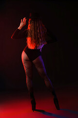 Attractive female dancer in high heels on dark background, back view