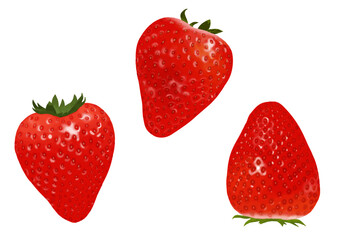真っ赤に熟した美味しそうな苺のイラストセット（白背景・ベクター・切り抜き）