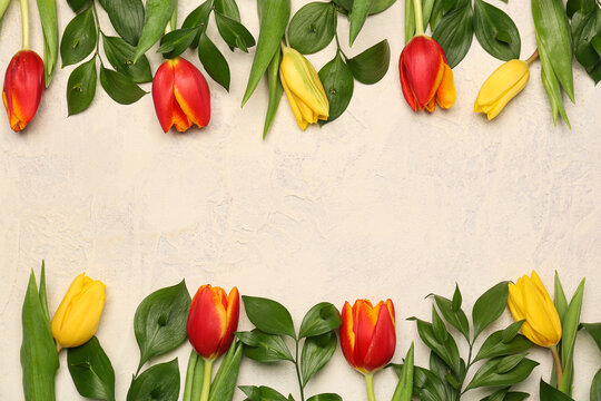 Composition with beautiful tulip flowers and plant branches on light background