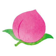 桃　手描き　イラスト