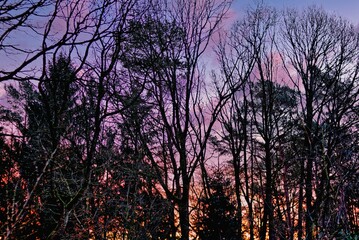 Obraz premium Sonnenaufgang