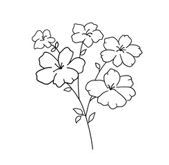 Hand drawn flower. Vector outline wildflowers sketch. Line art doodle isolated on white background
