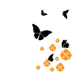 butterflies .