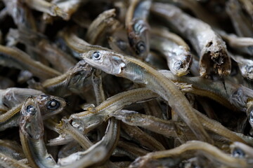 かえりちりめん