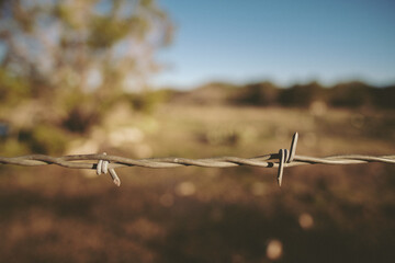 barbed wire on a fence