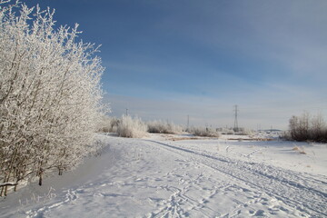 winter landscape with snow