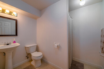 Utah- White bathroom interior with pedestal sink and shower curtain. There is a pedestal sink with framed mirror on the left near the toilet beside the wall with toilet paper holder.