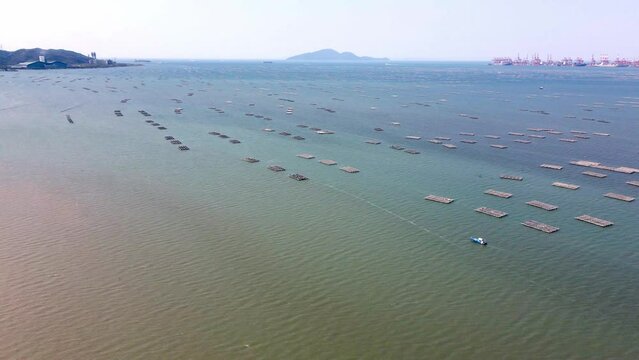 Fish farming in Asia. Shenzhen bay.  Aerial view at Lau Fau Shan, Hong Kong, New Territories. Fishing village in the coastal waters. 
