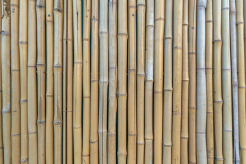 Natural bamboo wall fence close-up - Austin, Texas. Vertical pattern of bamboo pipes binded into a wall or fence with natural texture.