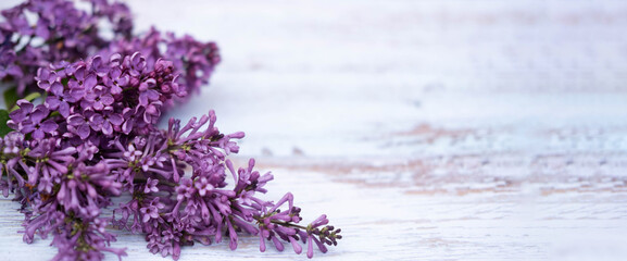 Obraz premium Beautiful purple-lilac lilac flowers, on a white wooden background. Flat apartment, top view with copy space. A postcard for Mother's Day, Valentine's Day.