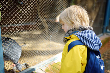 Little boy watching for birds in cage. Child at outdoors petting zoo. Kid having fun in farm with animals. Children and animals. Entertainment for kids on summer school holidays.