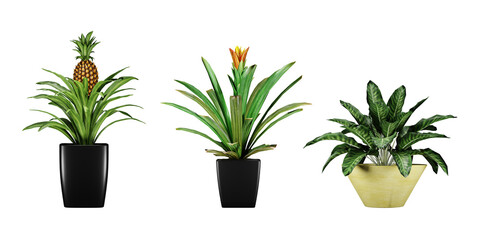 Fototapeta premium plant in a vase isolated on transparant background, 3d render illustration.