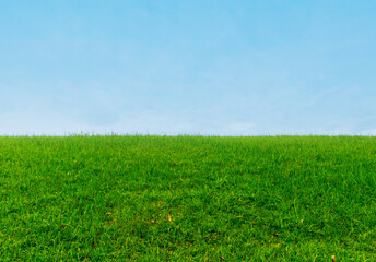 A view of grassland, after some edits.