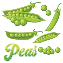 Printed kitchen splashbacks Kids Isolated green peas cartoon
