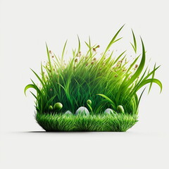 Nowruz festive, Grass, Green, Spring