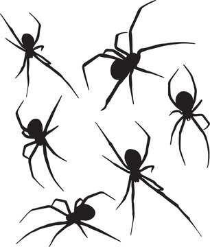 Spider silhouette set, SVG Vector