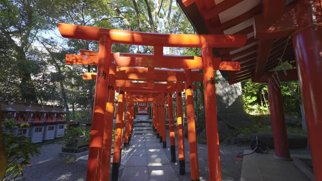 來宮神社の稲荷社と手水舎の風景動画