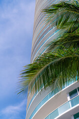 Fototapeta na wymiar Low angle view of an apartment with round structure in Miami, Florida. There are coconut tree branches at front of the round building with glass balcony railings against the thin clouds in the sky.