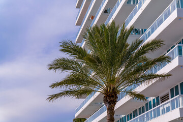 Fototapeta na wymiar Palm tree at the front of a high-rise apartment with long balconies in Miami, Florida. There are thin clouds in the sky on the left view of the apartment with glass balcony railings.