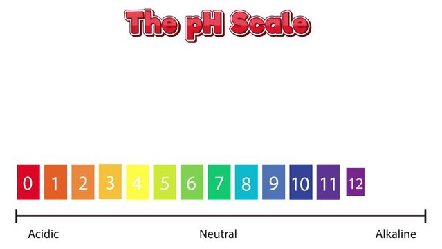 The pH scale with corresponding acidic to alkaline values for common substances.
