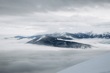 Obraz premium Dragobrat, Ukraine mountain landscape with fog and fir trees.