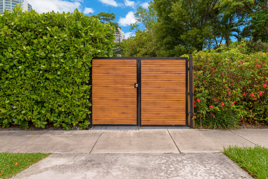 Home entrance driveway gate with wood slats in Miami, Florida. Gate of a residence in the middle of bush walls with concrete sidewalk and driveway.