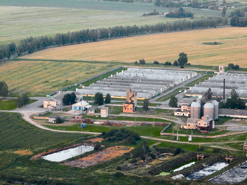Industrial pig farm surrounded by huge plantation and fields