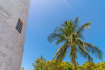 Round painted white tower with paned window at Bill Baggs Cape Florida State Park, Miami, Florida. Views of tower on the left and coconut tree above the other trees on the right against the blue sky.