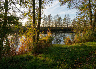 Ehemalige Baggerseen am Main bei Grafenrheinfeld, Landkreis Schweinfurt, Unterfranken, Franken, Bayern, Deutschland