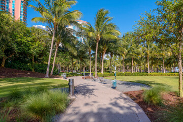 Pathway with benches on the side at South Pointe Park in Miami River Walk- Miami, Florida. Concrete pavement in the middle of lawn with trees near the multi-storey buildings on the left.