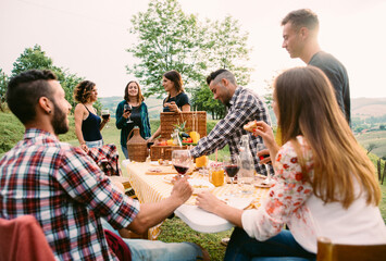 Group of friends spending time making a picnic and a barbeque