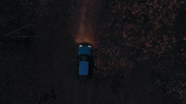 Aerial view of a car on dirt road in the forest